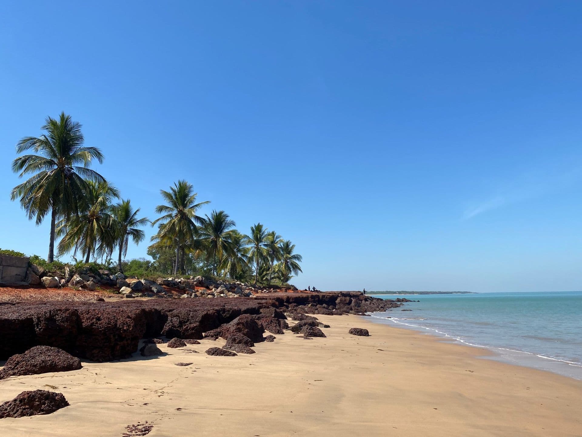 Sandy beach with scattered rocks, lined with palm trees under a clear blue sky, and calm turquoise sea in the background.