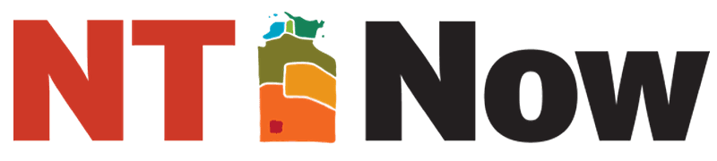 Logo with the text "NT Now" in bold. The "T" is stylized with colorful abstract shapes.